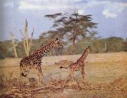 unknow artist The oppna terrangen am failing giraffe favoritmiljo china oil painting artist